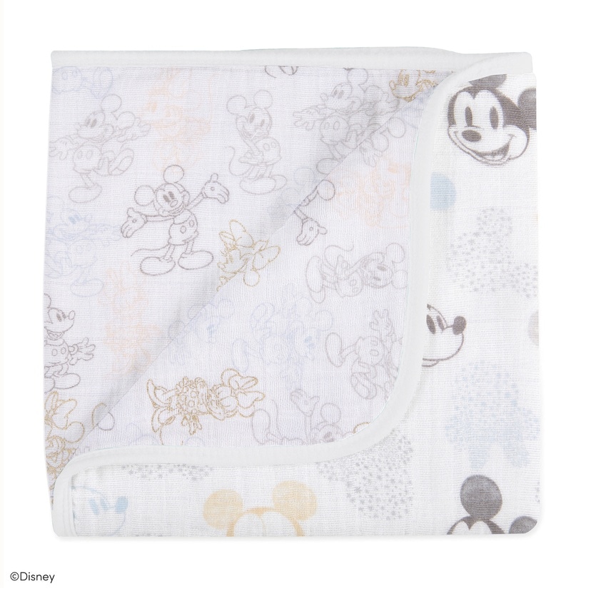 ブランケット/ミッキー+ミニー/ベビーカーサイズ