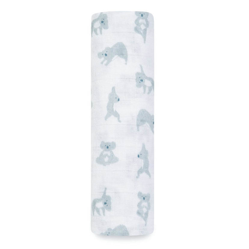 スワドル/ナウゼン